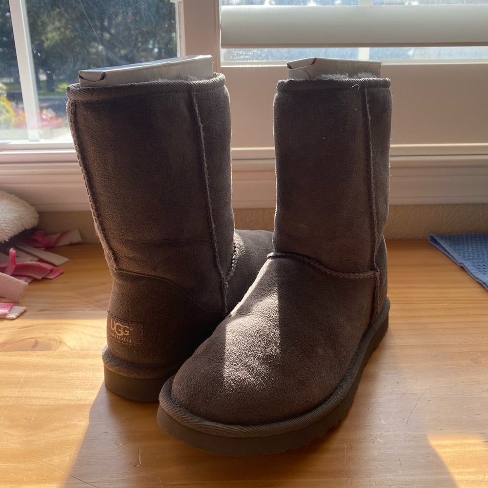 Grey Classic Short Ugg Boots